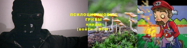 дмт Балабаново