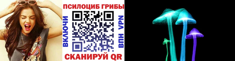 продажа наркотиков  Баксан  Галлюциногенные грибы Psilocybine cubensis 