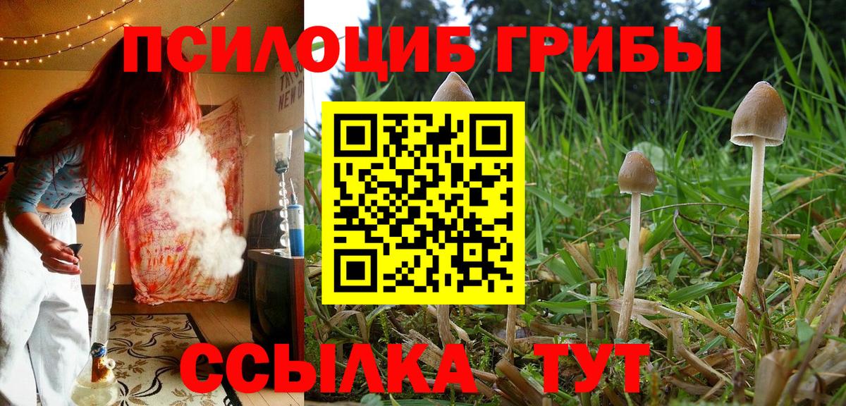 Галлюциногенные грибы мицелий Баксан