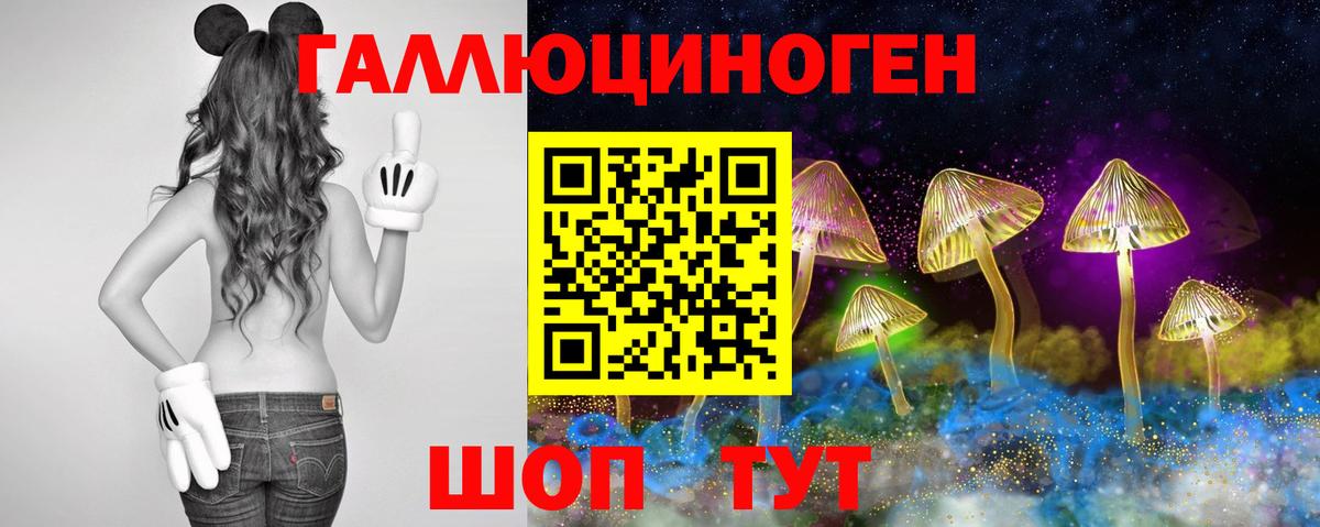Псилоцибиновые грибы GOLDEN TEACHER  купить закладку  Баксан  Вход с VPN 